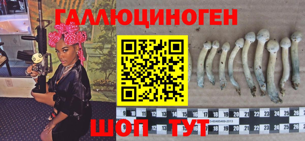 Галлюциногенные грибы GOLDEN TEACHER Урай