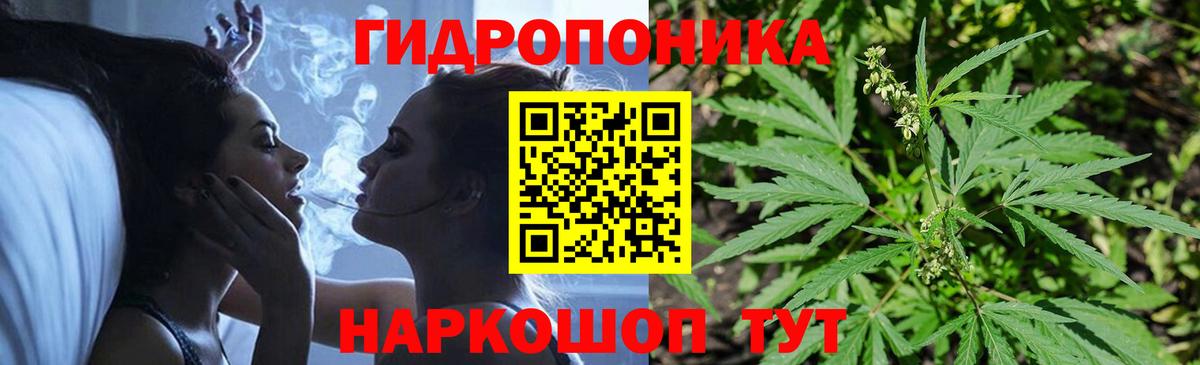 Бошки марихуана OG Kush  МАРИХУАНА OG Kush  Урай  Вход с VPN 